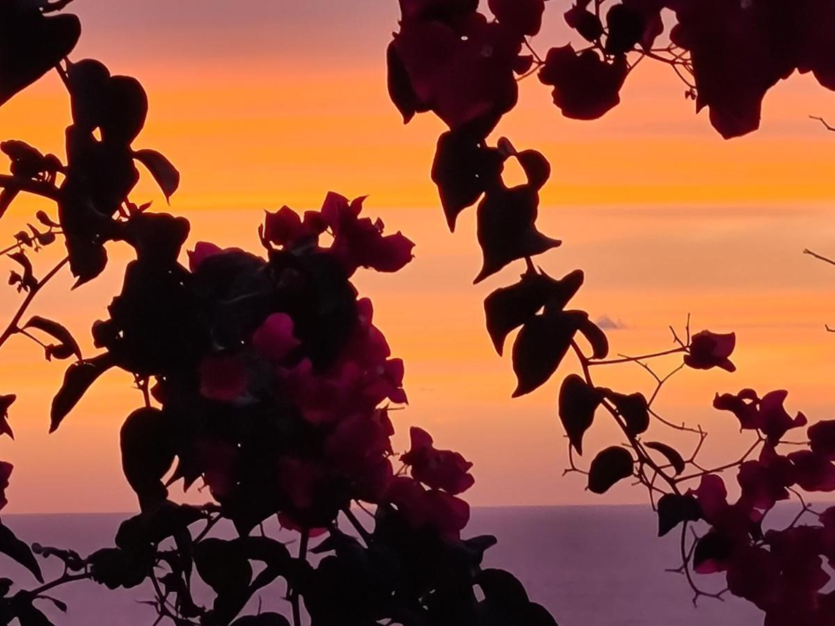 “Cielo E Mare”, Casetta Nel Cuore Del Borgo Antico / “Sky & Sea”, Charming In The Heart Of Old Village Castelsardo Extérieur photo